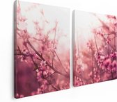 Artaza Canvas Schilderij Tweeluik Roze Bloesemboom Met Zonneschijn - 120x80 - Foto Op Canvas - Canvas Print