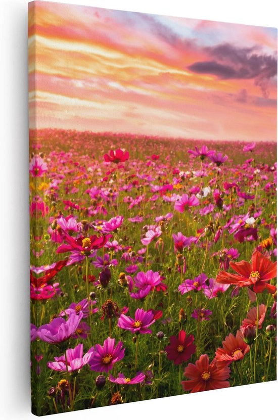 Artaza Canvas Schilderij Kleurrijke Kosmos Bloemenveld - 40x50 - Foto Op Canvas - Canvas Print