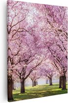 Artaza Canvas Schilderij Roze Bloesembomen Park - Bloemen - 40x50 - Foto Op Canvas - Canvas Print