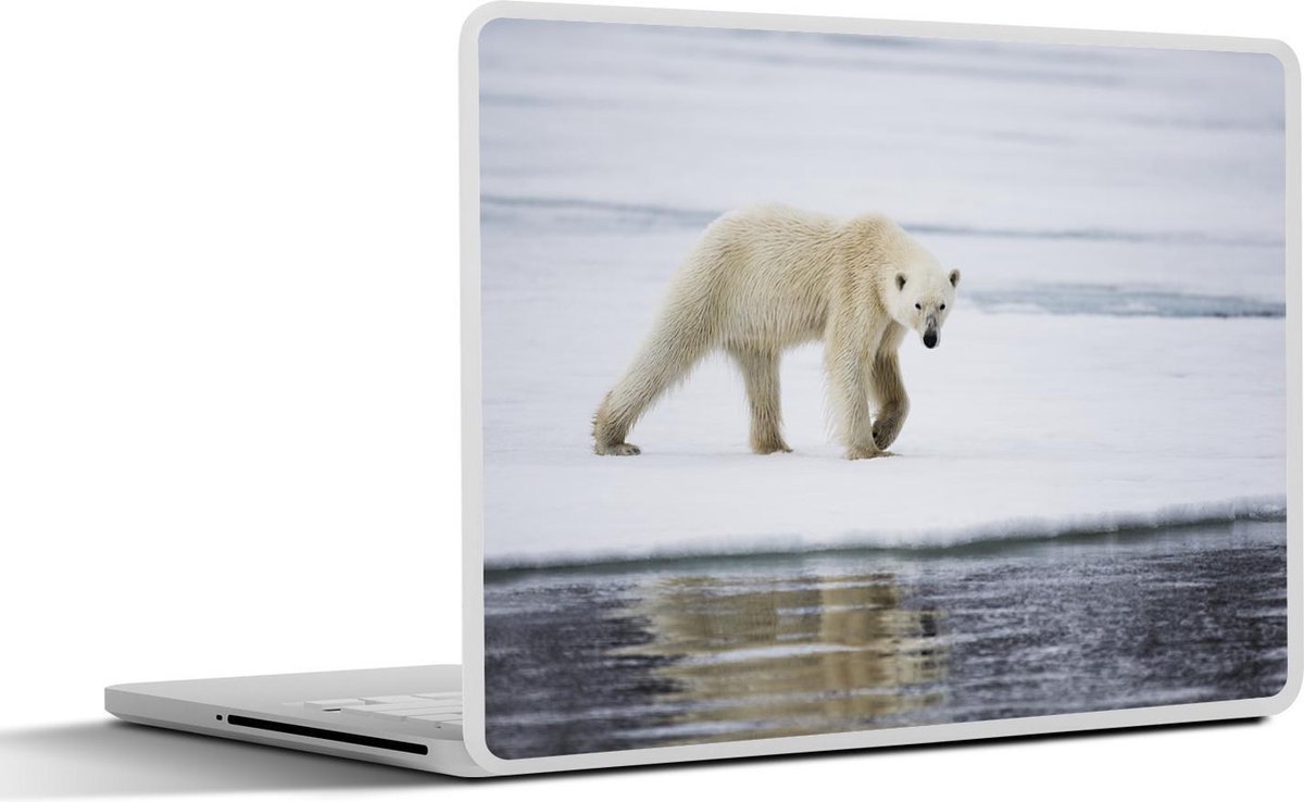 Afbeelding van product SleevesAndCases  Laptop sticker - 11.6 inch - IJsbeer - Water - IJs