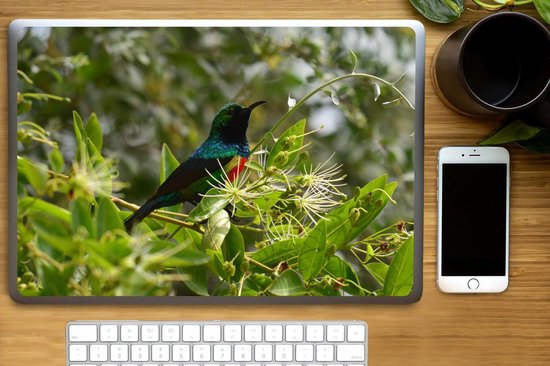 Autocollant pour ordinateur portable - 17,3 pouces - Vogel parmi les feuilles dans la jungle - 40x30cm - Autocollants pour ordinateur portable - Peau pour ordinateur portable - Couverture