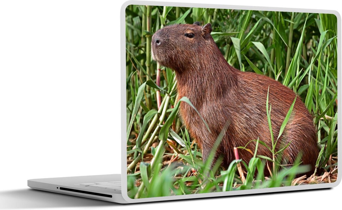 Laptop sticker - 13.3 inch - Een Capibara zittend op de rivieroever in het moerasgebied van Pantanal - 31x22,5cm - Laptopstickers - Laptop skin - Cover