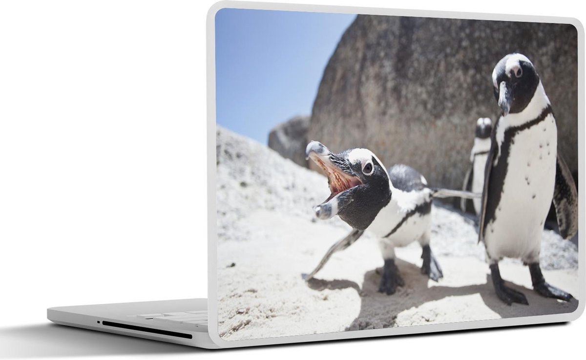 Afbeelding van product SleevesAndCases  Laptop sticker - 14 inch - Een groepje Zwartvoetpinguïns