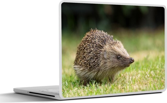 Sticker pour ordinateur portable - 12,3 pouces - Hérisson dans le jardin - 30x22cm - Autocollants pour ordinateur portable - Skin pour ordinateur portable - Housse