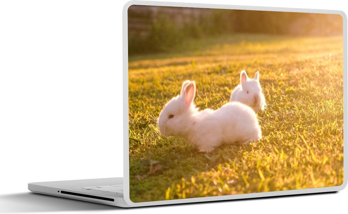 Laptop sticker - 11.6 inch - Konijnen - Baby - Wit - 30x21cm - Laptopstickers - Laptop skin - Cover