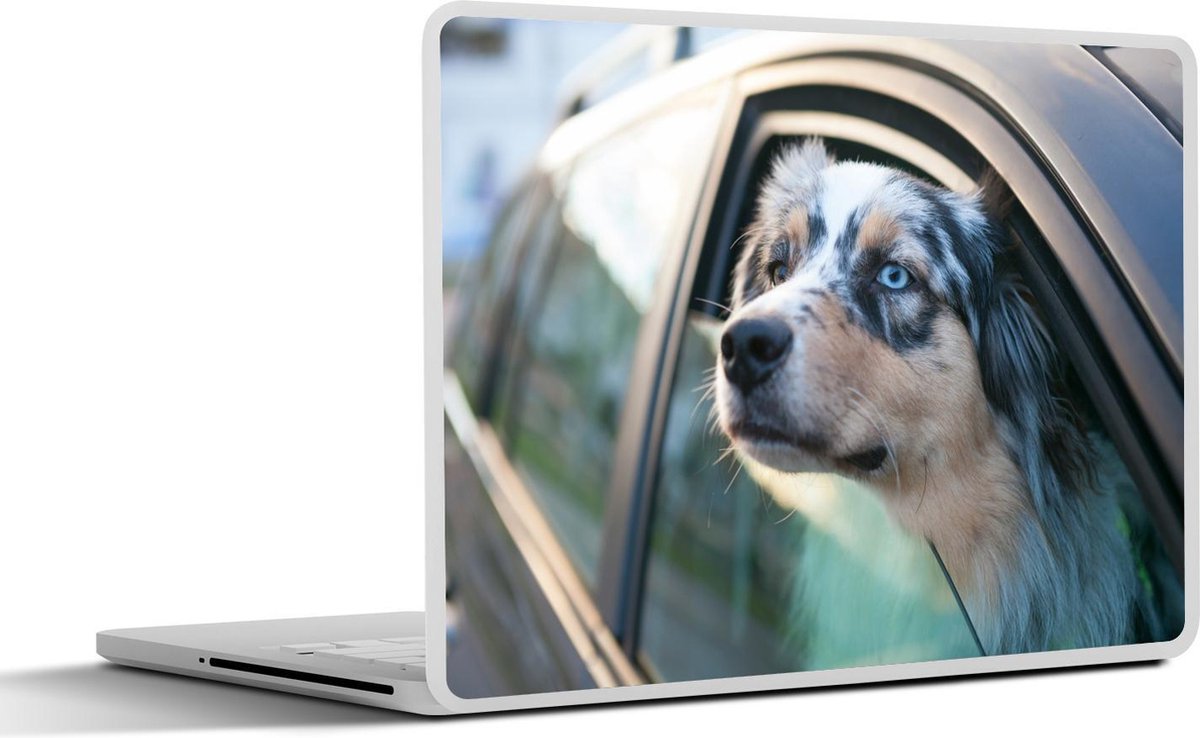 Afbeelding van product SleevesAndCases  Laptop sticker - 14 inch - Hond met blauwe ogen