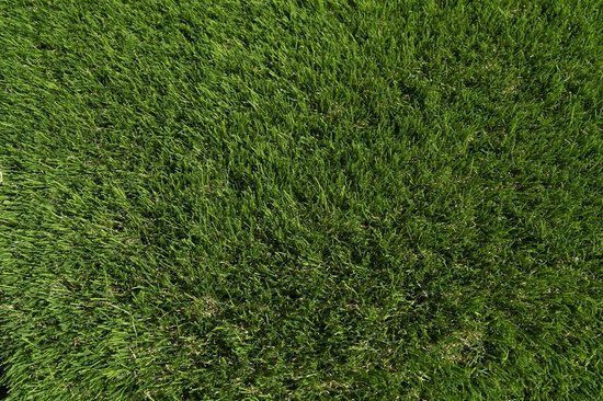 Kunstgras 4 x 25 meter - 40mm - Nederlandse Productie - Uitgeroepen zachtste Grastapijt | Waterdoorlatend | Tuin | Kind | Dier