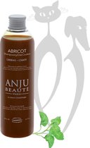 Anju Beauté, Abricot Shampoo 500 mL