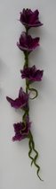 Bloemenslinger- vilt- paars- 5 bloemen