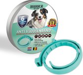 100% natuurlijke vlooienband | voor honden | Turquoise | teken en vlooien | zonder schadelijke pesticide of giftige chemicaliën | geur halsband