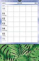 Familiekalender 2022 - Jungle (21cm x 30cm)