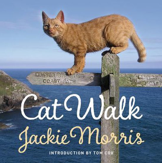 Cat Walk - cover