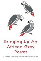 Bringing Up An African Grey Parrot: Caring, Training, Treatments And More