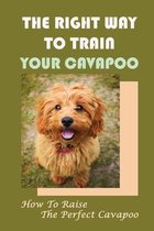The Right Way To Train Your Cavapoo: How To Raise The Perfect Cavapoo