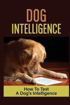 Dog Intelligence: How To Test A Dog's Intelligence