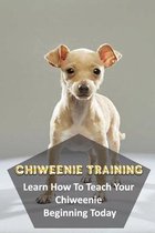 Chiweenie Training: Learn How To Teach Your Chiweenie Beginning Today