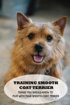 Training Smooth Coat Terrier: Things You Should Know To Play With Your Smooth Coat Terrier