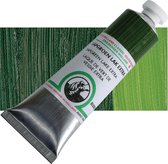 Old Holland Hoge Kwaliteit Olieverf 40 ml - Sapgroen Lak Extra (B292)