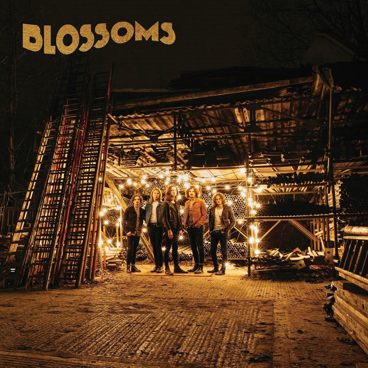 Blossoms - Blossoms (CD)