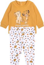 Geel-witte babyset: sweater + legging Leeuwenkoning 92 cm