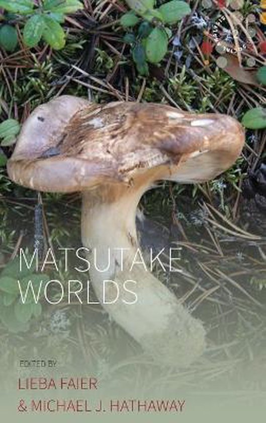 Matsutake Worlds - cover