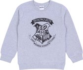 Grijs, jongens HOGWHARTS Harry Potter-sweatshirt 134-140