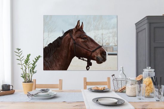 Tableau sur toile Paarden - Animaux - Licol - 120x90 cm - Décoration murale