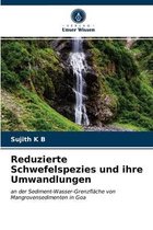 Reduzierte Schwefelspezies und ihre Umwandlungen