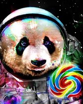 Diamond Painting Pakket - Space Panda - 50x40 cm - Complete Set - Volledige Bedekking - Ronde Steentjes