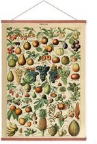 Poster In Posterhanger - Vintage Fruit - Kader Hout - Groenten en Planten - Botanisch - 70x50 cm - Ophangsysteem