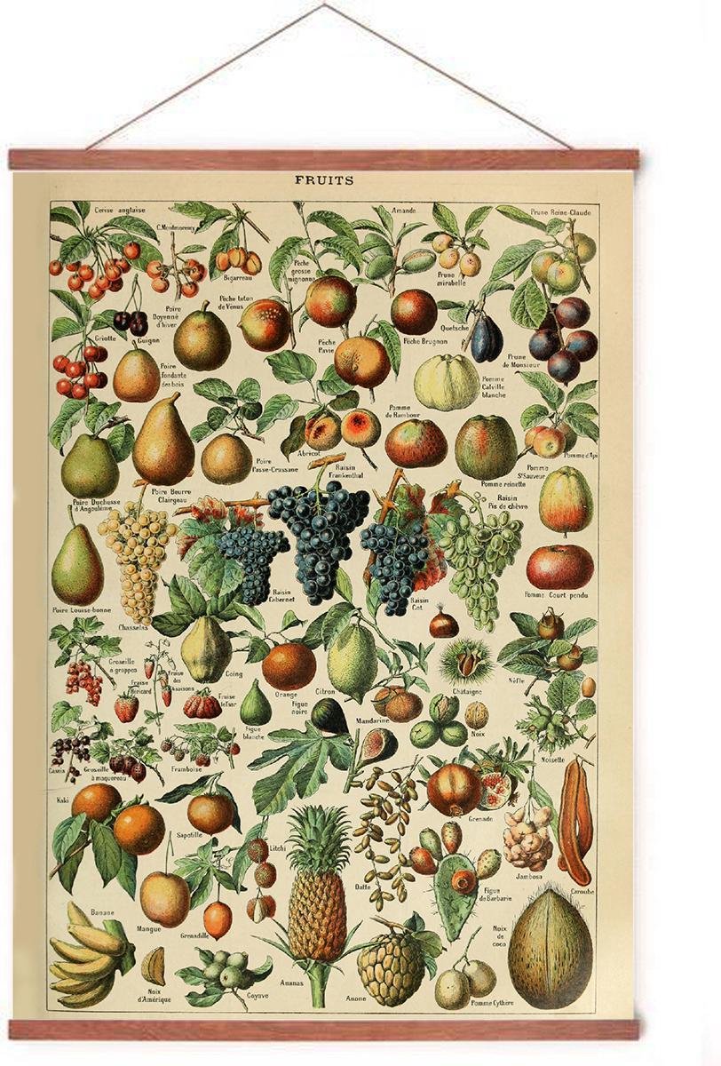 Esque Poster In Posterhanger - Vintage Fruit - Kader Hout - Groenten en Planten - Botanisch - 70x50 cm - Ophangsysteem Vintage Fruit met posterhanger