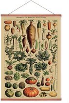 Affiche En Porte Affiche - Légumes Vintage - Cadre Bois - Éducatif - 70x50 cm - Plantes/ Botanique - Système d'accrochage