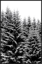 JUNIQE - Poster in kunststof lijst Besneeuwde kerstbomen -30x45 /Grijs