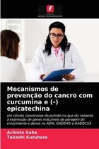 Mecanismos de prevencao do cancro com curcumina e (-) epicatechina