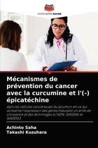 Mecanismes de prevention du cancer avec la curcumine et l'(-) epicatechine