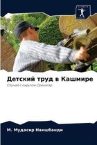 Детский труд в Кашмире