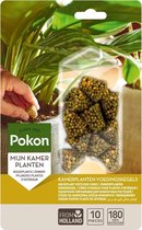 Pokon Kamerplanten Voedingskegels - 2x10st - Plantenvoeding - 6 maanden voeding