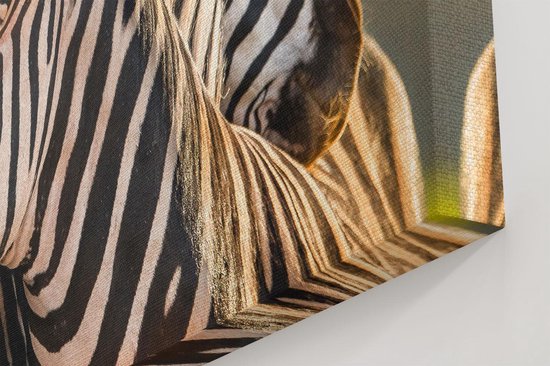 Artaza Toile Peinture Deux Zèbres Enlacés - 60x40 - Photo Sur Toile - Impression Sur Toile