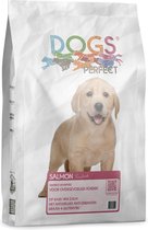 Dogs Perfect Geperste brok Sensible - Salmon 14kg