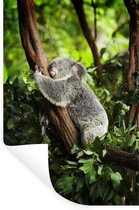 Stickers muraux - Film autocollant - Koala - Dormir - Arbre - 40x60 cm - Film adhésif - Stickers muraux Chambre d'enfant - Papier peint autocollant