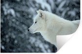 Stickers Stickers muraux - Loup - Neige - Arbres - 60x40 cm - Feuille adhésive