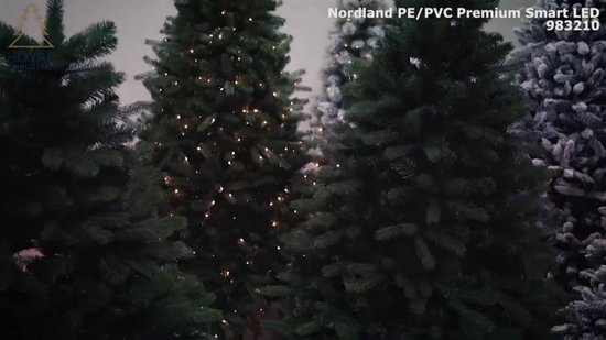 Sapin de Noël artificiel - Montana PP / PVC étroit - 165 cm