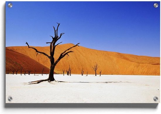 Walljar - Desert in Namibia - Muurdecoratie - Acrylglas schilderij - 70 x 100 cm