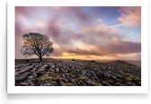 Walljar - Dead Tree - Muurdecoratie - Poster