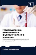 Молекулярные механизмы и функциональное