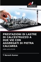 Prestazioni Di Lastre Di Calcestruzzo a Due Vie Con Aggregati Di Pietra Calcarea