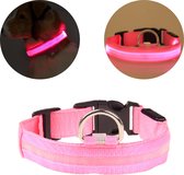 Lichtgevende Halsband Hond – LED Halsband – Verlichting hond – Hondenhalsband Puppy - Halsbandjes voor puppys – Roze - M