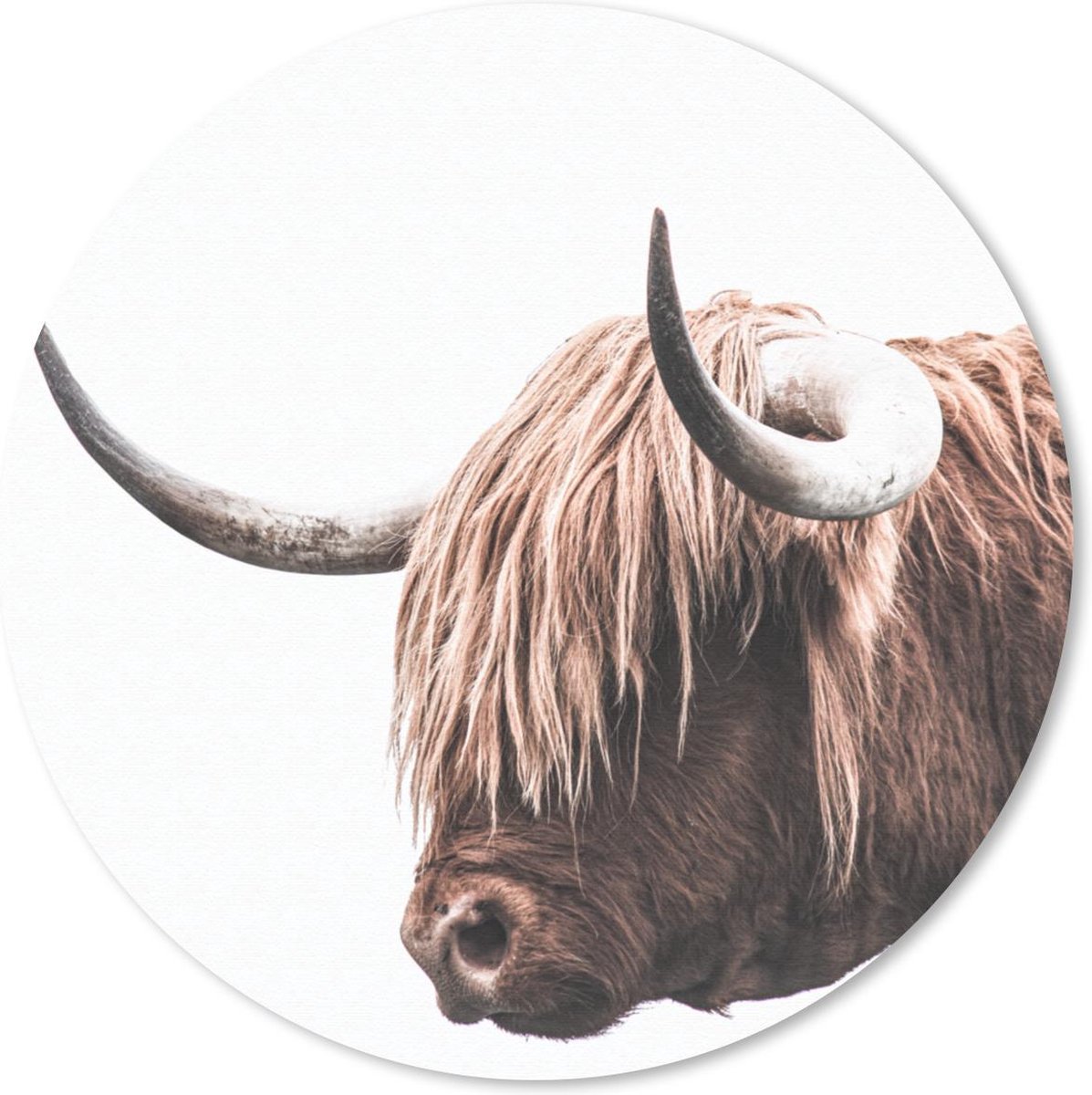 Muismat rond 50x50 cm - Mousepad Schotse Hooglander - Hoorns - Ronde muismatten