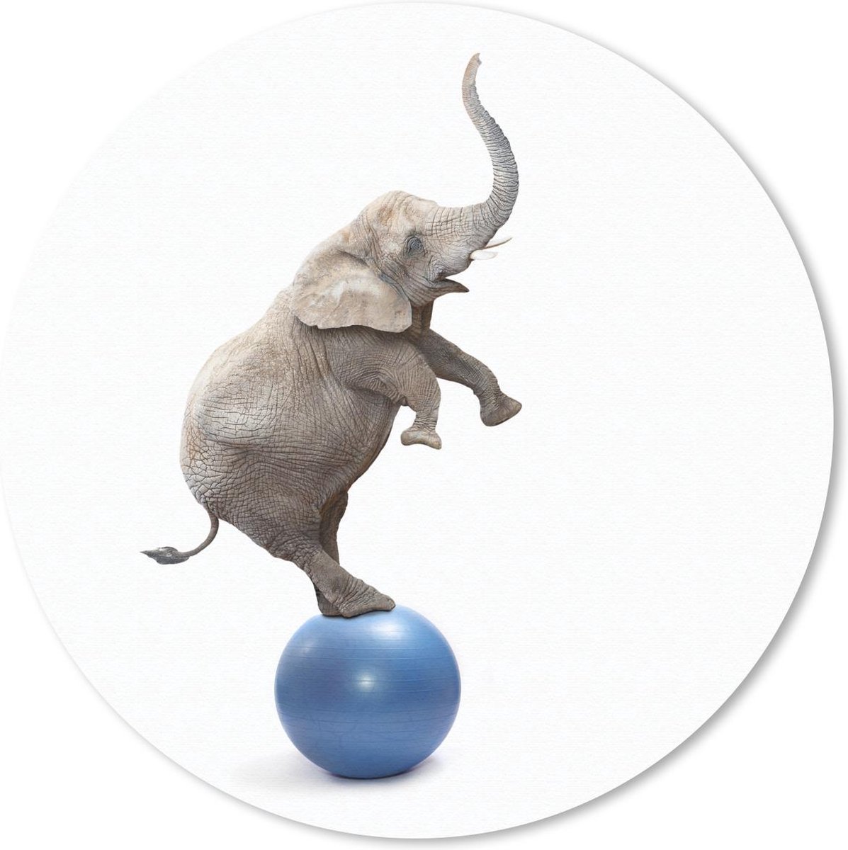 Muismat rond 50x50 cm - Mousepad Olifant - Bal - Blauw - Wit - Ronde muismatten