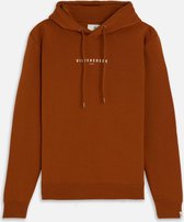 Silvercreek  Logo Hoodie  Mannen Beige Camel